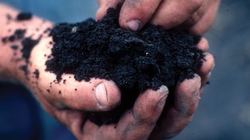Prep Your Soil Like a Pro