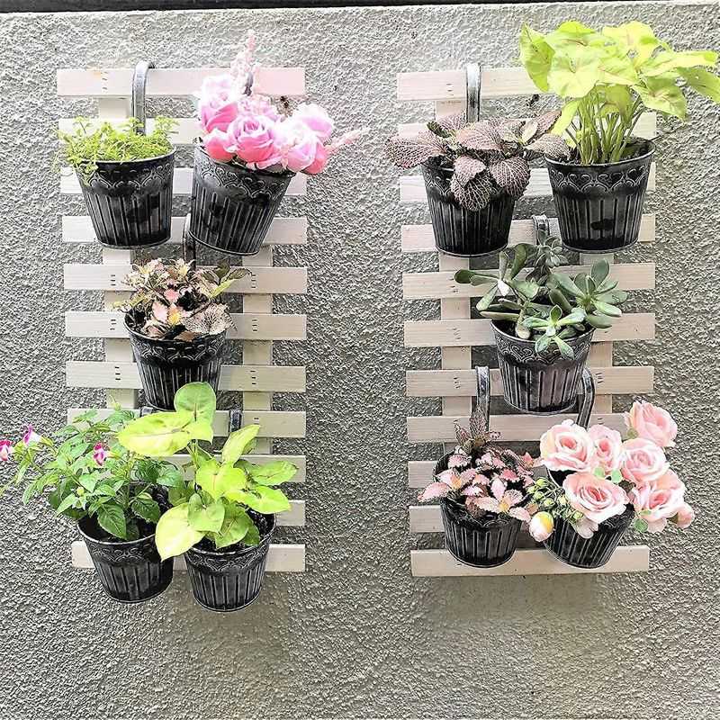 Magnetic Spice Gardens