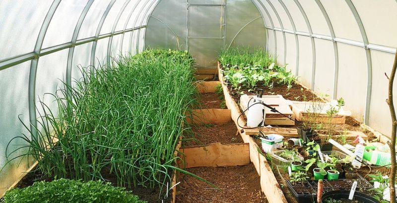 Incorporating Pest Control Measures