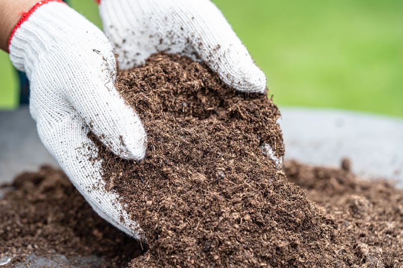 Optimal Soil Preparation