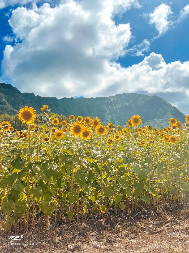 Perfect Mountain Climate Conditions