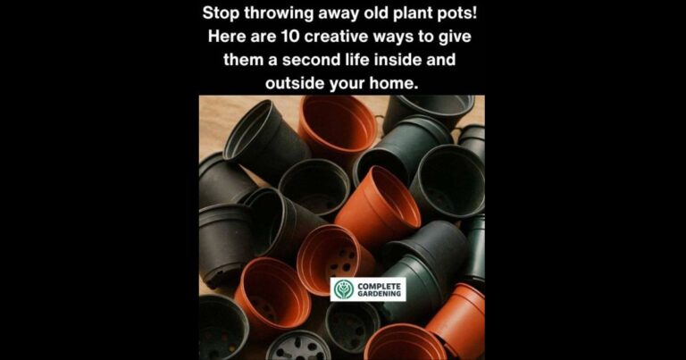 Stop throwing away old plant pots! Here are 10 creative ways to give them a second life inside and outside your home.