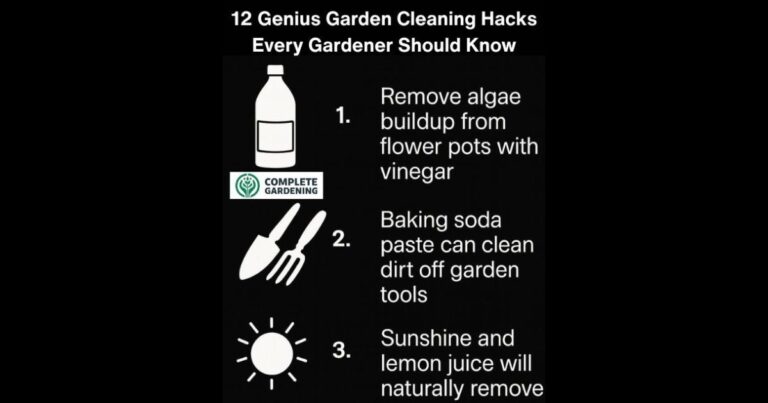 12 Genius Garden Cleaning Hacks Every Gardener Should Know