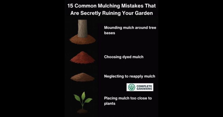 15 Common Mulching Mistakes That Are Secretly Ruining Your Garden