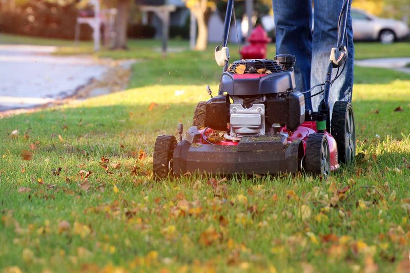 Continue Mowing Your Lawn