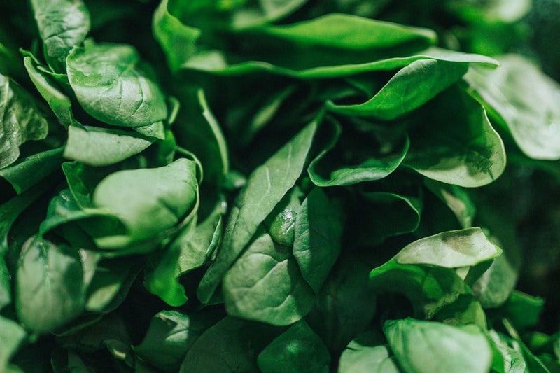 Spinach