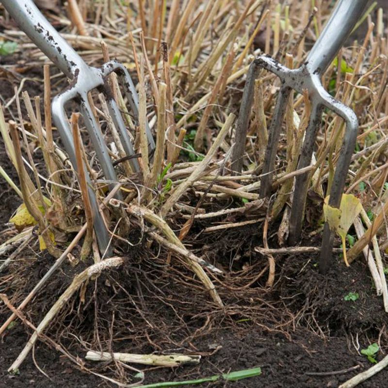 Time Your Division Correctly