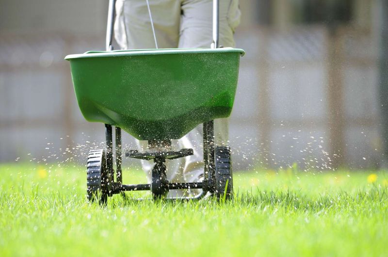 Fertilize Your Lawn for Winter