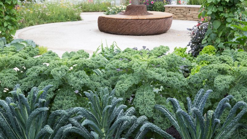 Grow Cool-Season Vegetables