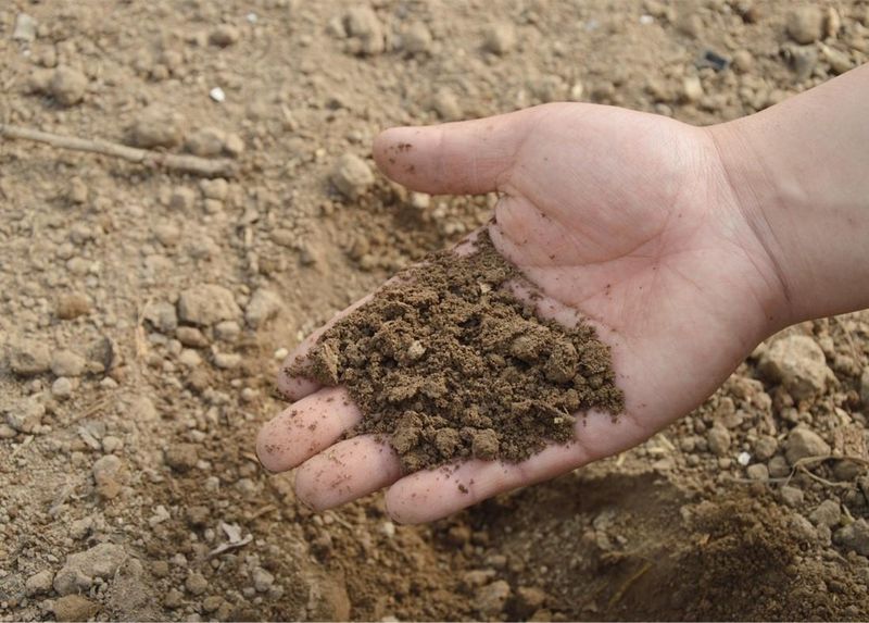 Soil Composition and Testing