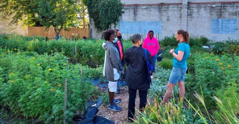 Gardening in Maryland: How to Thrive in the Mid-Atlantic’s Unique Climate