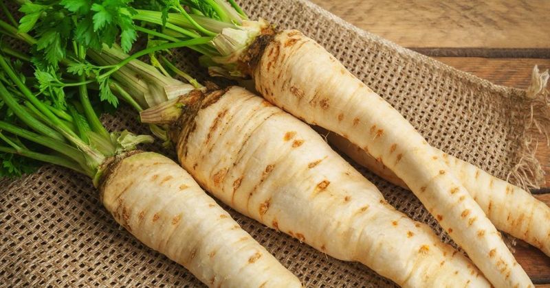 Parsnips