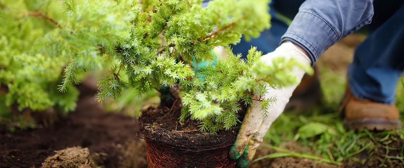 Weeds Take a Well-Deserved Break