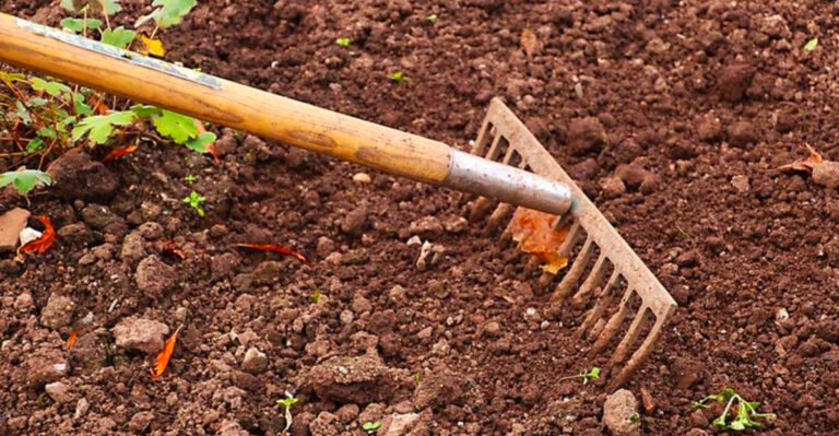 October Gardening Checklist: 15 Tasks to Prepare Your Yard for Winter