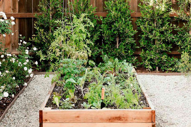 Seasonal Planting Strategies