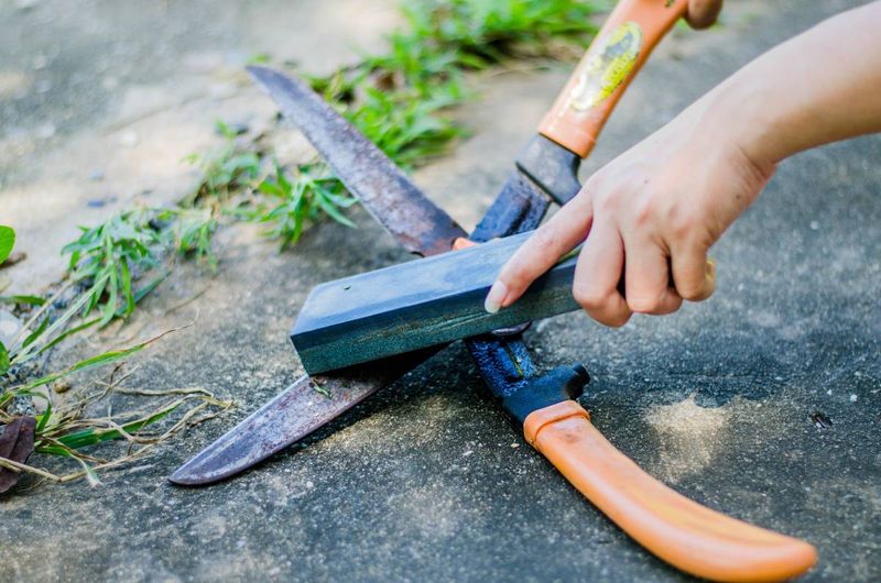 Clean and Sharpen Garden Tools