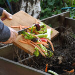 Simple Gardening Tips for Iowa’s Rich, Fertile Soil