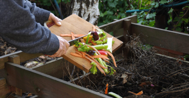 Simple Gardening Tips for Iowa’s Rich, Fertile Soil