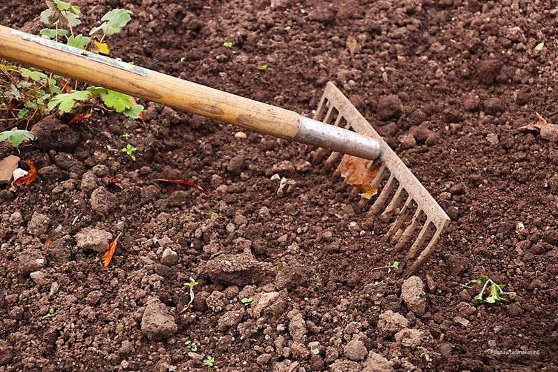 Add Compost to Garden Beds