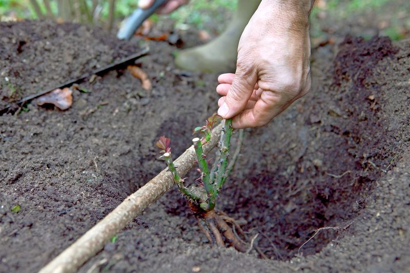 Cooler Air Meets Warm Soil