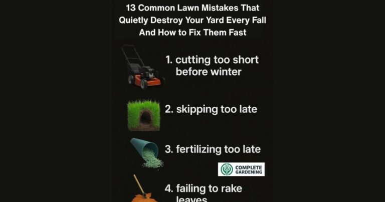 13 Common Lawn Mistakes That Quietly Destroy Your Yard Every Fall – And How to Fix Them Fast