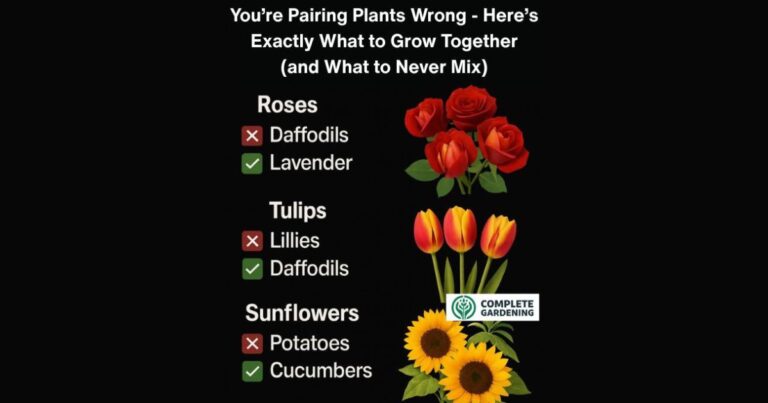 You’re Pairing Plants Wrong – Here’s Exactly What to Grow Together (and What to Never Mix)