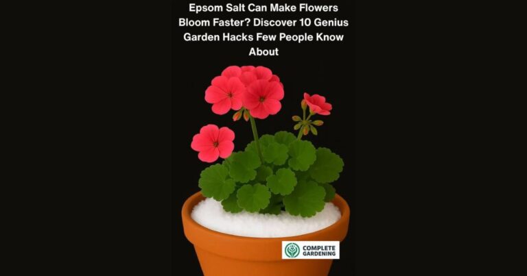 Epsom Salt Can Make Flowers Bloom Faster? Discover 10 Genius Garden Hacks Few People Know About