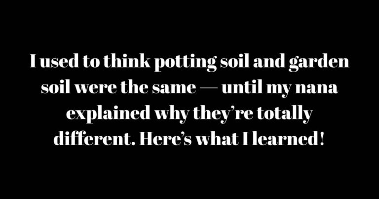 I Was Clueless About This — The Real Difference Between Potting Soil and Garden Soil That Every Gardener Should Know
