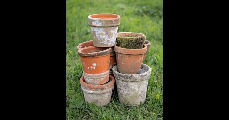 Don’t toss those old pots! Here are 10 clever ways to give them a new life and add beauty, charm, and creativity to your garden.