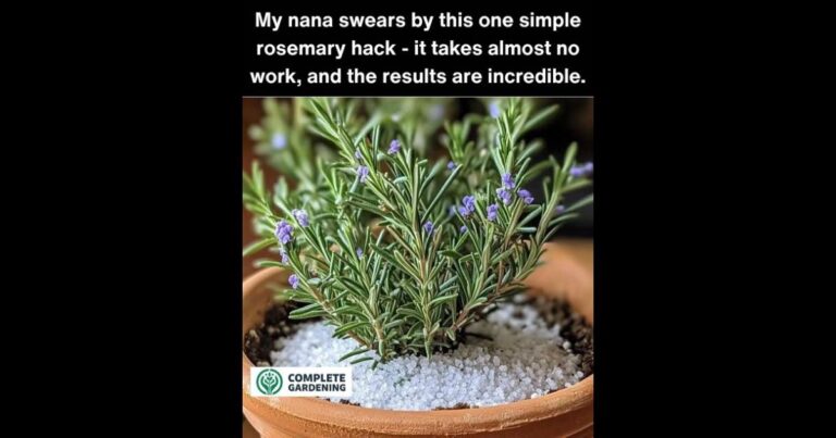 I Had No Idea!