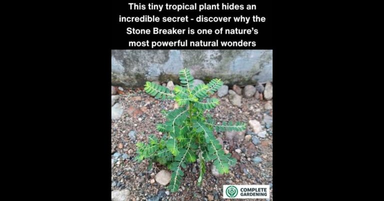 I Had No Idea!