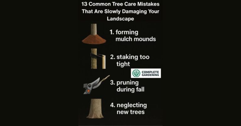 13 Common Tree Care Mistakes That Are Slowly Damaging Your Landscape