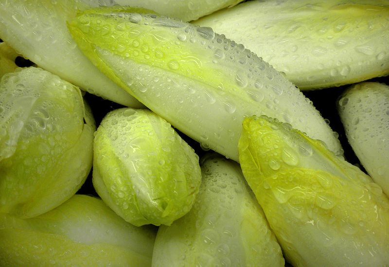 Endive