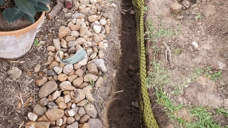 Ignoring Drainage Holes