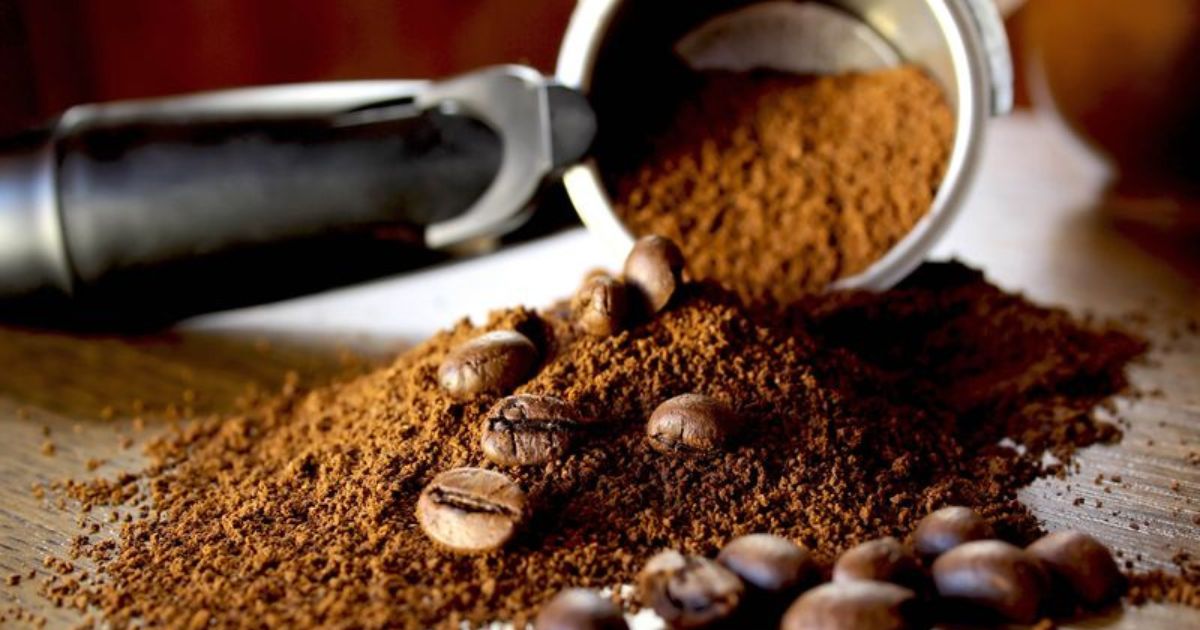 This One Kitchen Scrap Can Supercharge Your Garden Soil