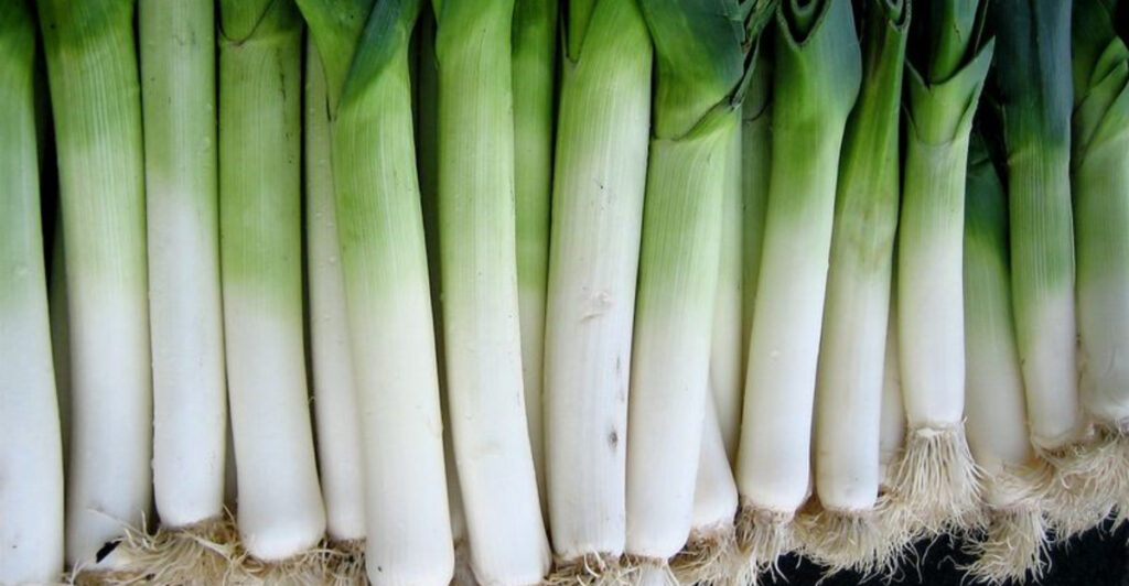 The Early Veggies You Can Plant Now – Even Before Frost Season Is Over