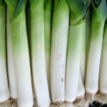 The Early Veggies You Can Plant Now – Even Before Frost Season Is Over