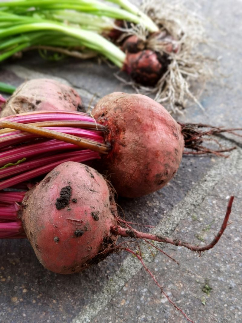 Beets