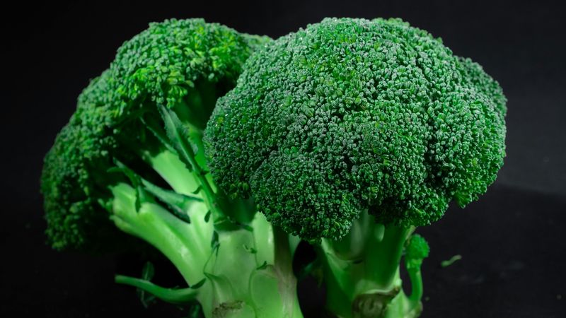 Broccoli