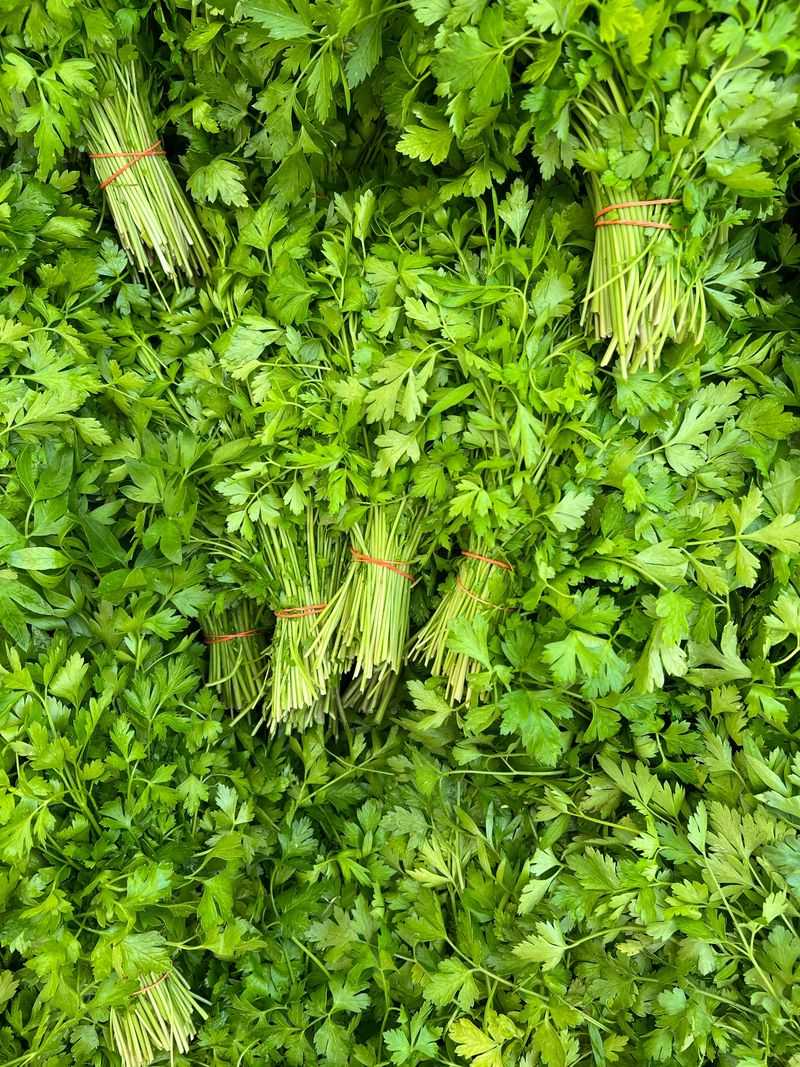 Parsley