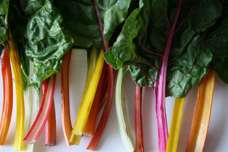 Swiss Chard