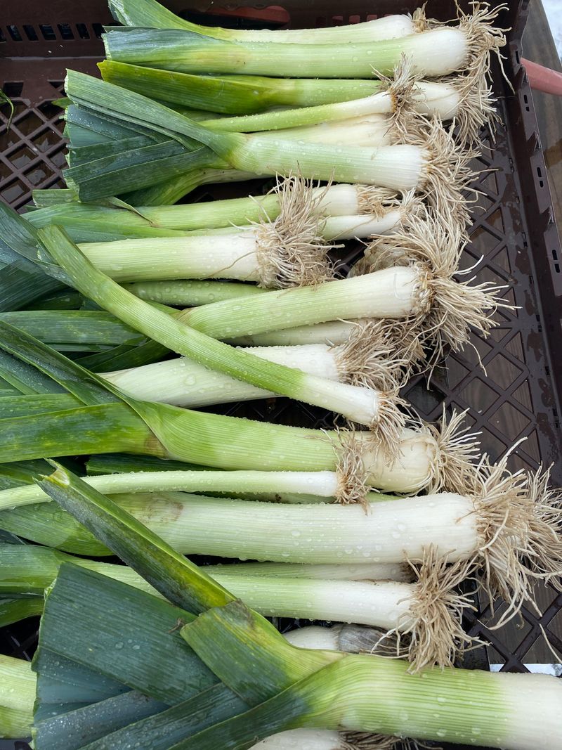 Leeks