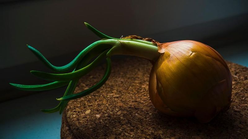 Onions (Bulb)