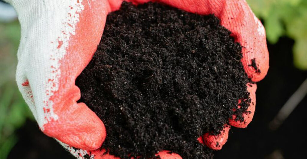 Before You Plant Anything, Do This One Simple Thing for Much Better Growth