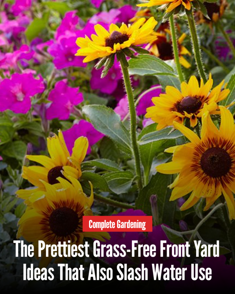 The Prettiest Grass-Free Front Yard Ideas That Also Slash Water Use
