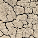 If You Want Better Plants This Spring, Fix the Soil First