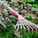 Seed-Starting Mistakes That Can Sabotage Strong Transplants Before You Notice