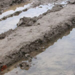 The Common March Gardening Move That Can Backfire Fast