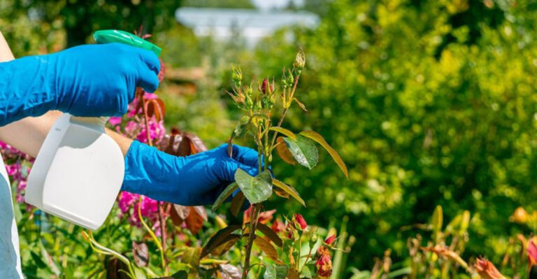 The Early Spring Pest Check That Stops Major Garden Problems Before They Start