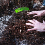 The Easy Garden Task to Do Now If You Want Less Weeding Later